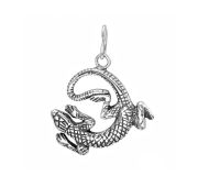 24-5-OO-P-030671 Подвеска «Варан»-оберег от опасности (Серебро 925)